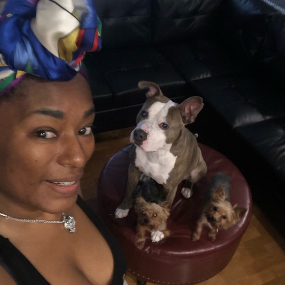 Meet your Posher, Gloria - Picture 4 of 6